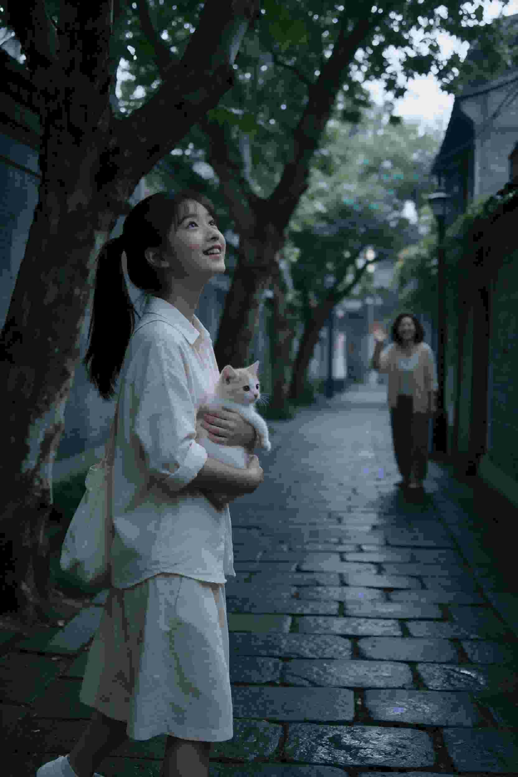 属相轮回劫